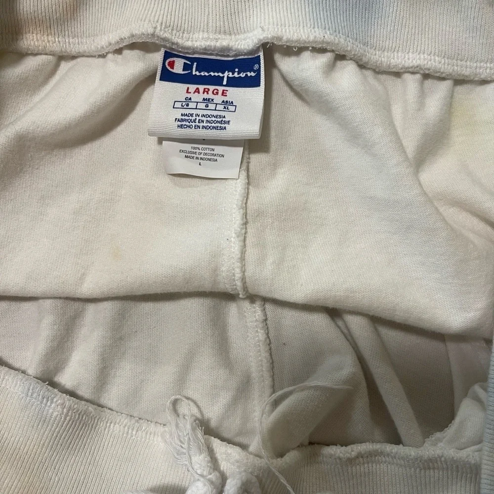 Champion Cotton Cloud Tye Dye Shorts Size Large - Picture 5 of 11